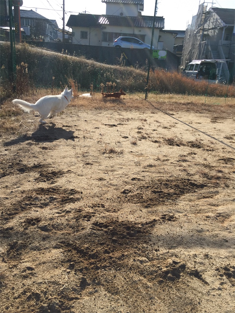 f:id:Lien0927:20180116141539j:image f:id:Lien0927:20180116141539j:image