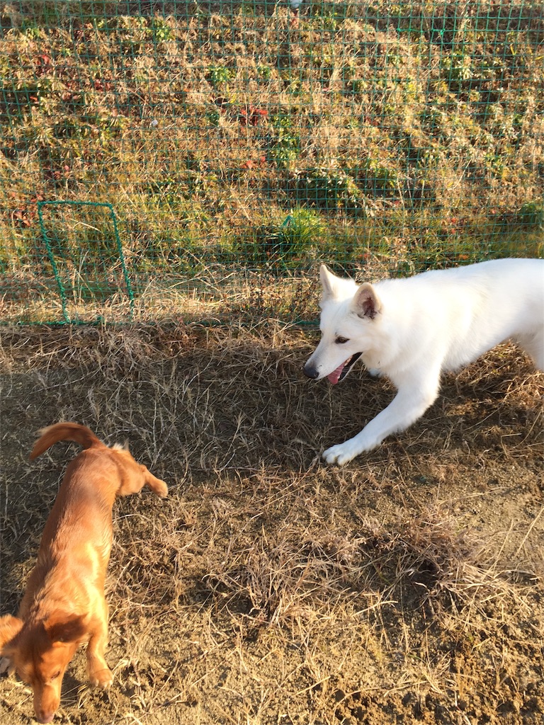 f:id:Lien0927:20180116141646j:image f:id:Lien0927:20180116141646j:image