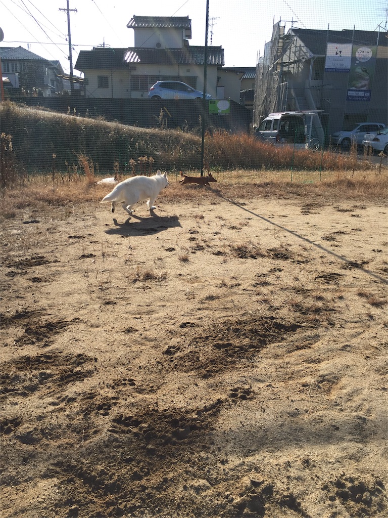 f:id:Lien0927:20180116141755j:image f:id:Lien0927:20180116141755j:image