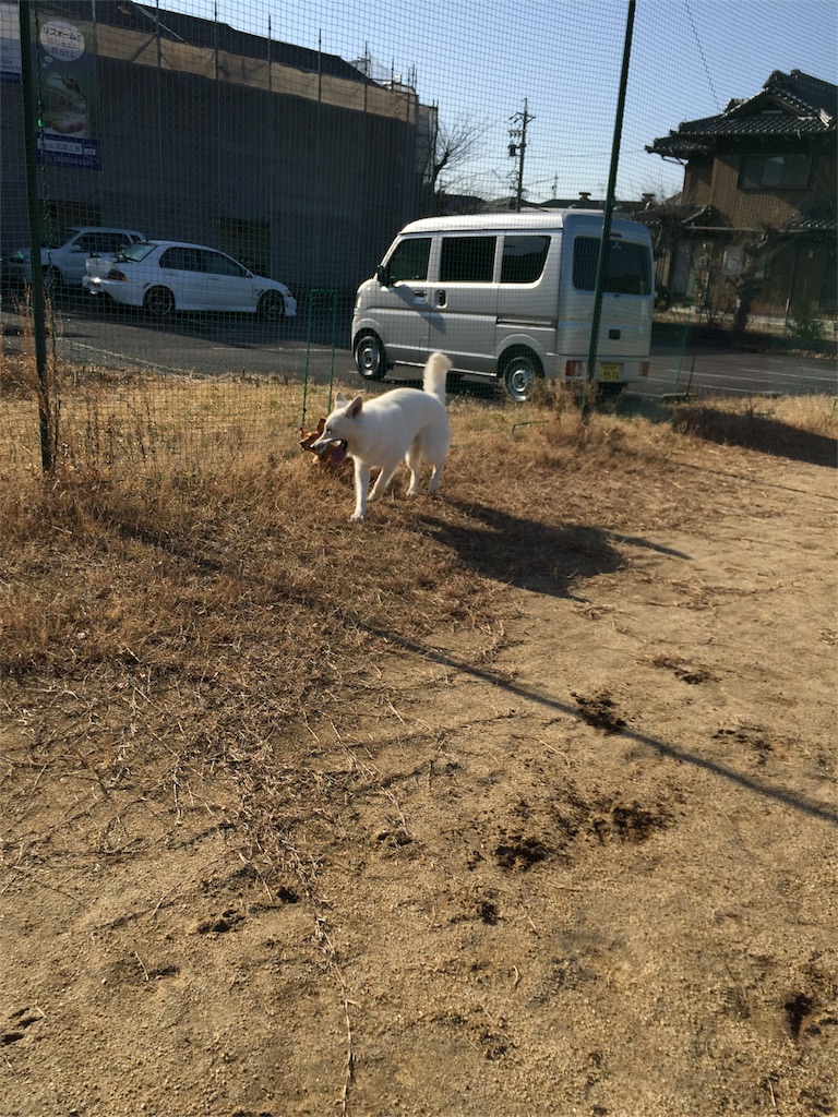 f:id:Lien0927:20180116141945j:image f:id:Lien0927:20180116141945j:image