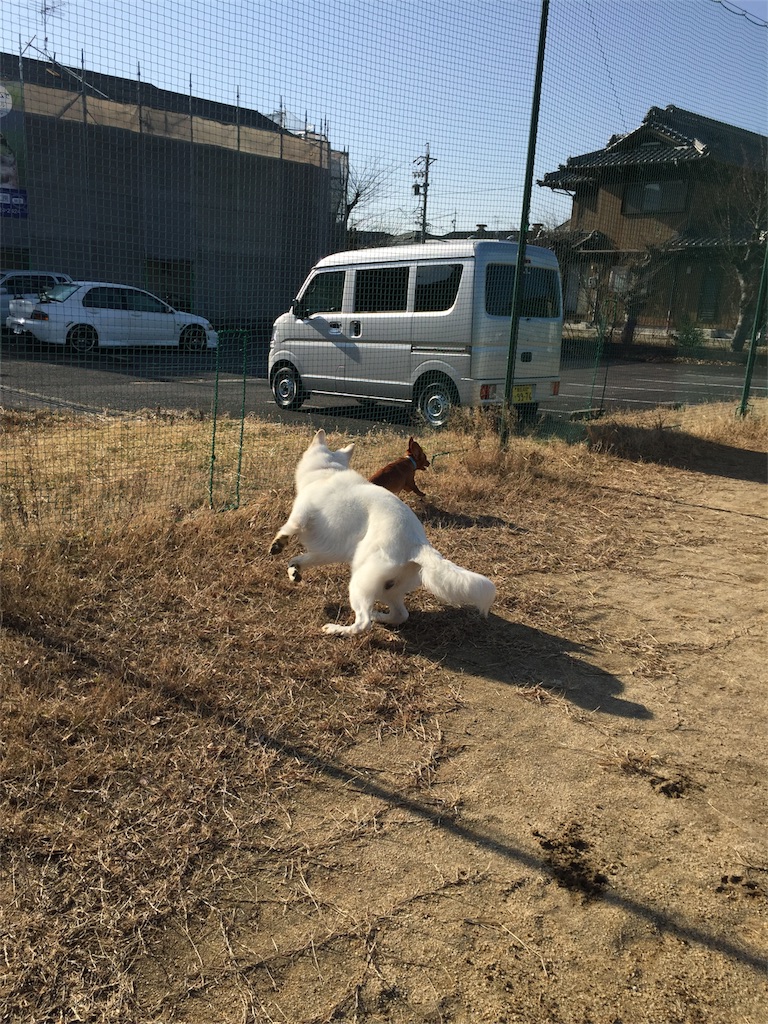 f:id:Lien0927:20180116142041j:image f:id:Lien0927:20180116142041j:image