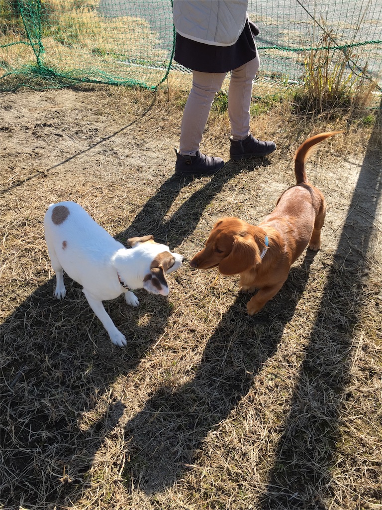 f:id:Lien0927:20180214125035j:image f:id:Lien0927:20180214125035j:image