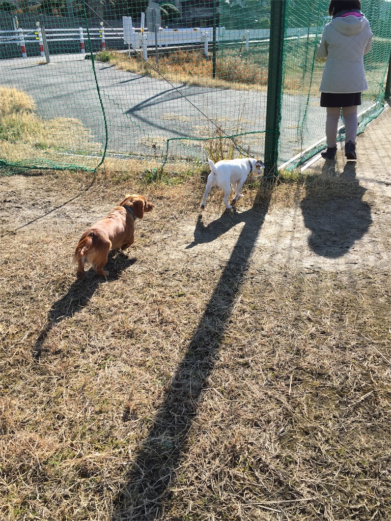 f:id:Lien0927:20180214125241j:image f:id:Lien0927:20180214125241j:image