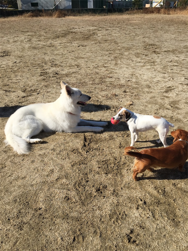 f:id:Lien0927:20180214125559j:image f:id:Lien0927:20180214125559j:image