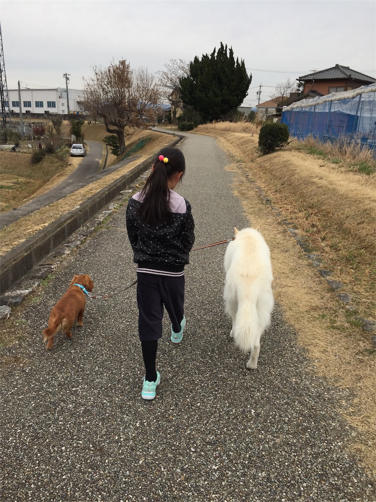 f:id:Lien0927:20180304000545j:image f:id:Lien0927:20180304000545j:image