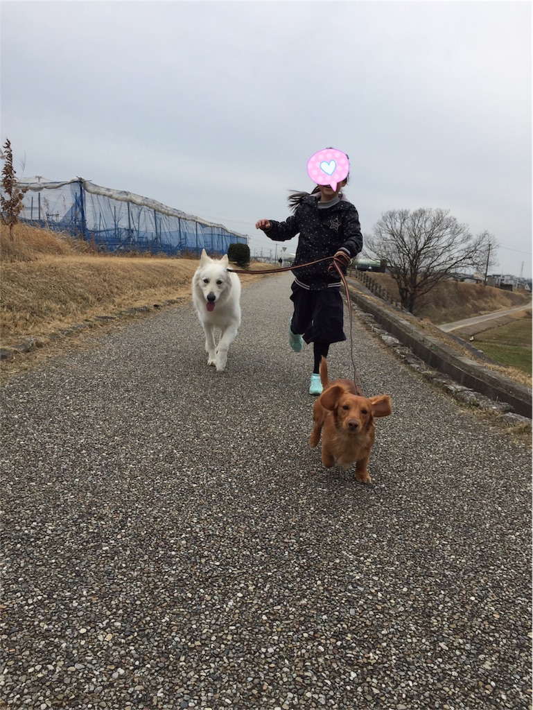 f:id:Lien0927:20180304000902j:image f:id:Lien0927:20180304000902j:image