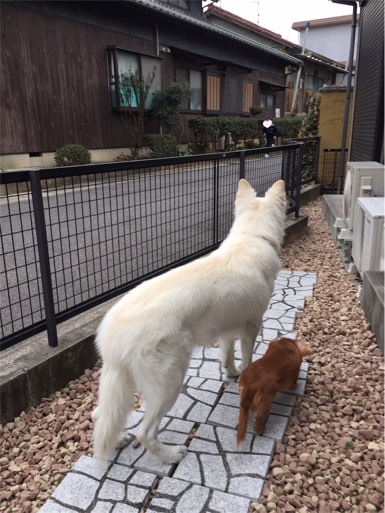 f:id:Lien0927:20180304001515j:image f:id:Lien0927:20180304001515j:image