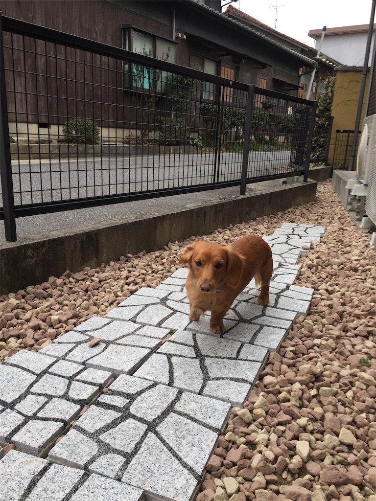 f:id:Lien0927:20180304002133j:image f:id:Lien0927:20180304002133j:image