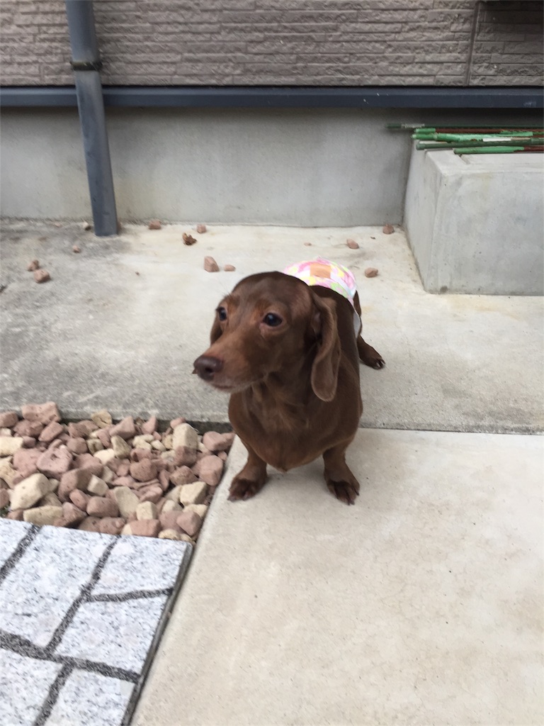 f:id:Lien0927:20180304002343j:image f:id:Lien0927:20180304002343j:image