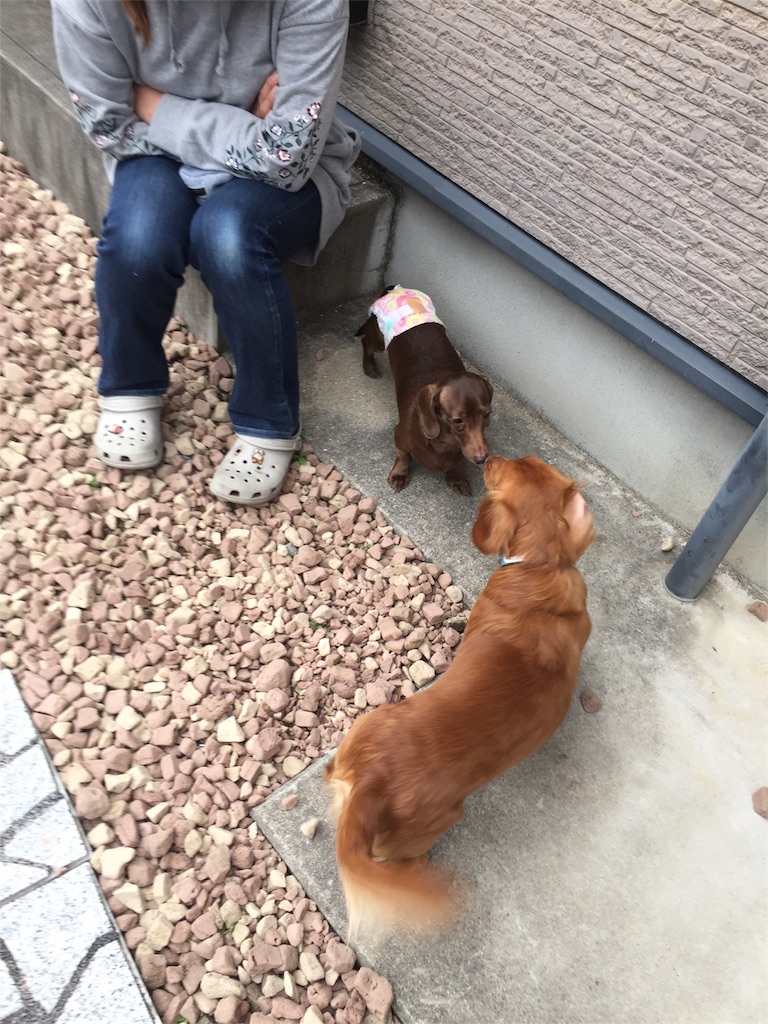 f:id:Lien0927:20180304002443j:image