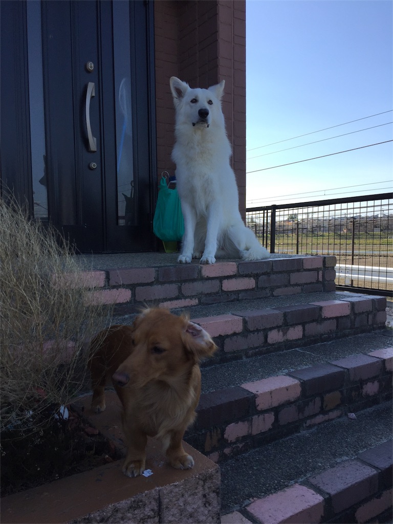 f:id:Lien0927:20180312221853j:image f:id:Lien0927:20180312221853j:image