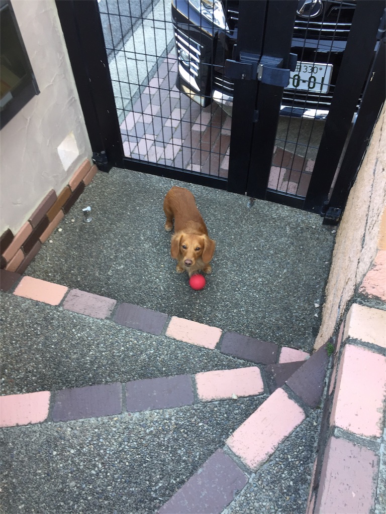 f:id:Lien0927:20180312221902j:image f:id:Lien0927:20180312221902j:image