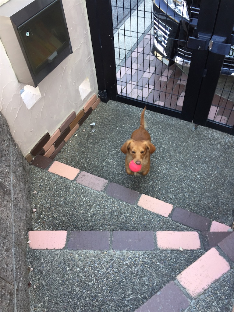 f:id:Lien0927:20180312221912j:image f:id:Lien0927:20180312221912j:image