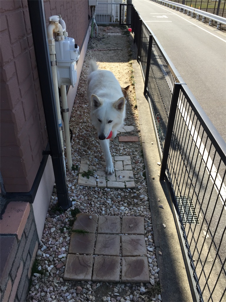 f:id:Lien0927:20180312221935j:image f:id:Lien0927:20180312221935j:image