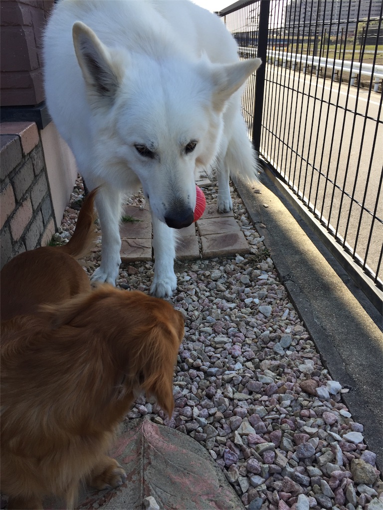 f:id:Lien0927:20180312221950j:image f:id:Lien0927:20180312221950j:image