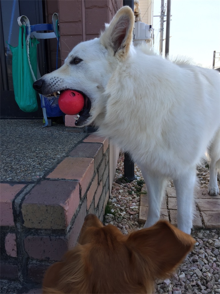 f:id:Lien0927:20180312221959j:image f:id:Lien0927:20180312221959j:image