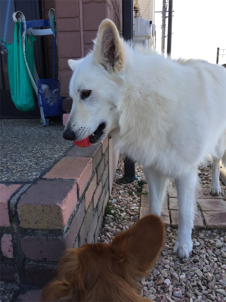 f:id:Lien0927:20180312222007j:image f:id:Lien0927:20180312222007j:image