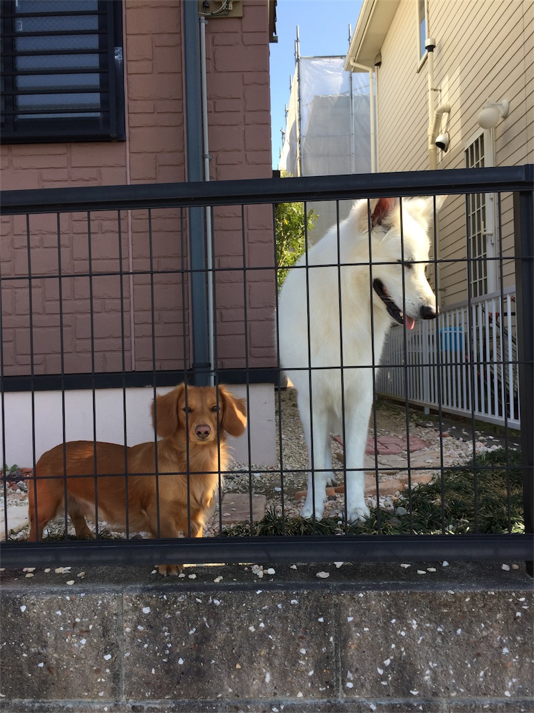 f:id:Lien0927:20180312222200j:image f:id:Lien0927:20180312222200j:image