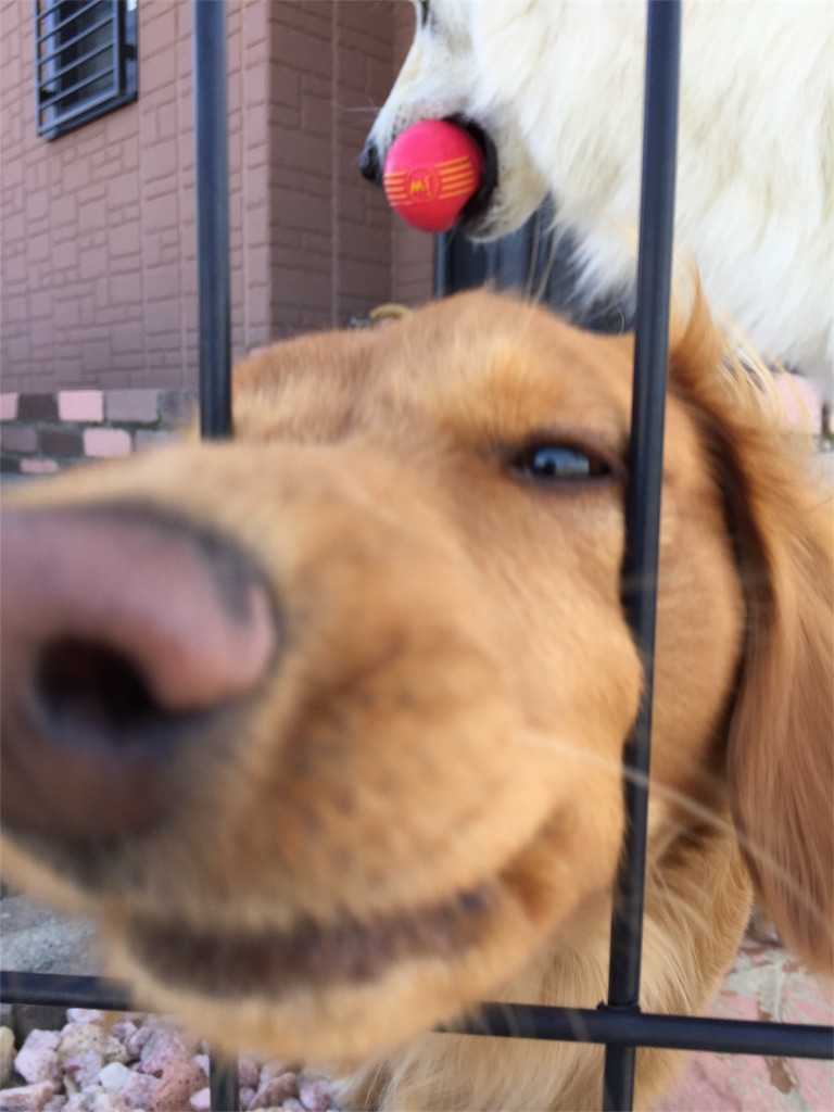 f:id:Lien0927:20180312222307j:image f:id:Lien0927:20180312222307j:image