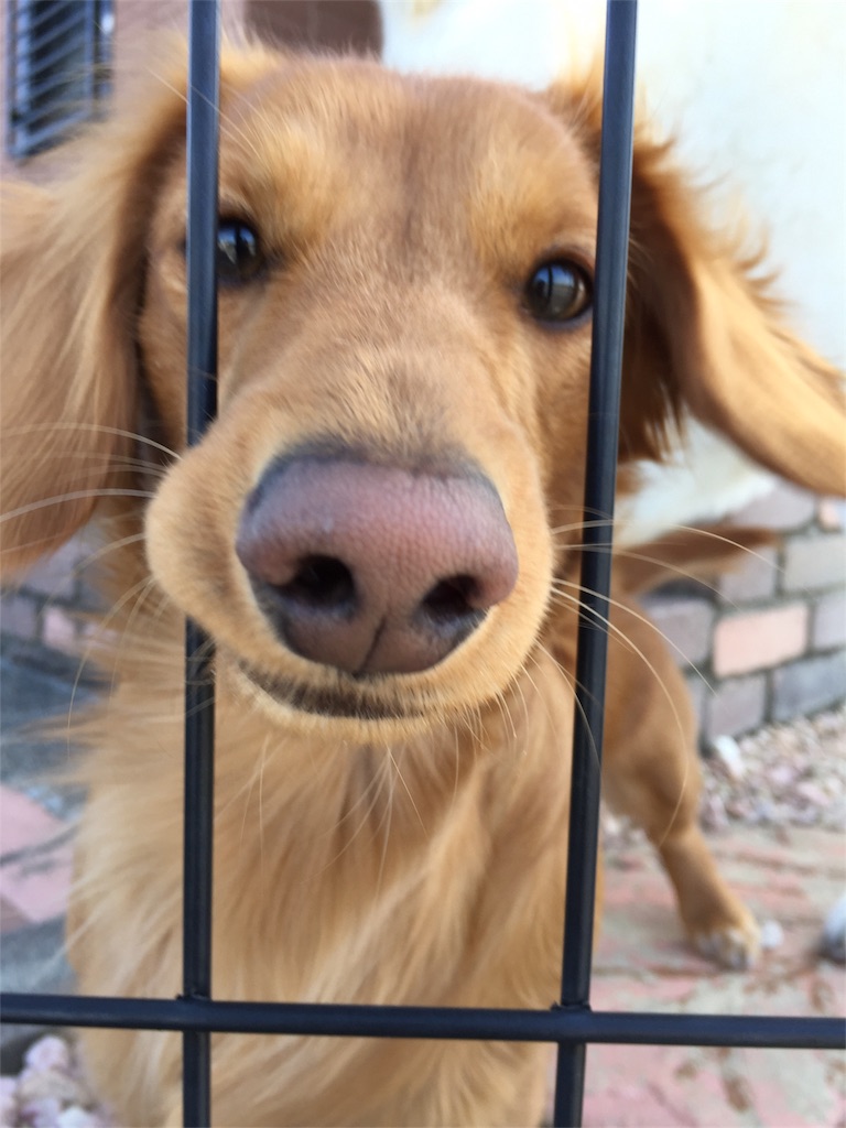 f:id:Lien0927:20180312222314j:image f:id:Lien0927:20180312222314j:image