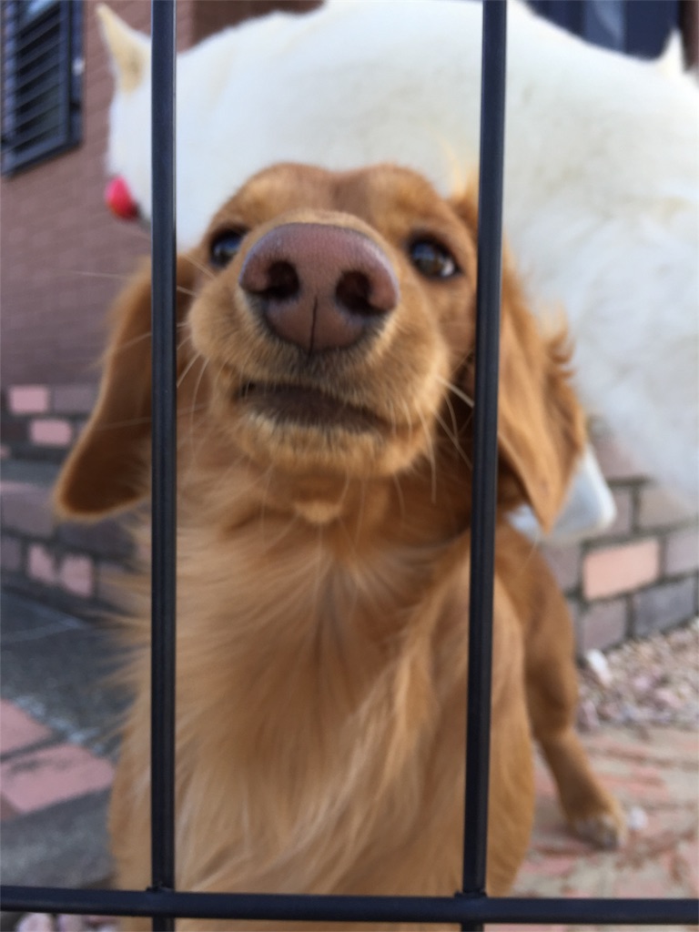 f:id:Lien0927:20180312222329j:image f:id:Lien0927:20180312222329j:image