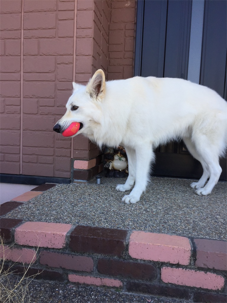 f:id:Lien0927:20180312222444j:image f:id:Lien0927:20180312222444j:image