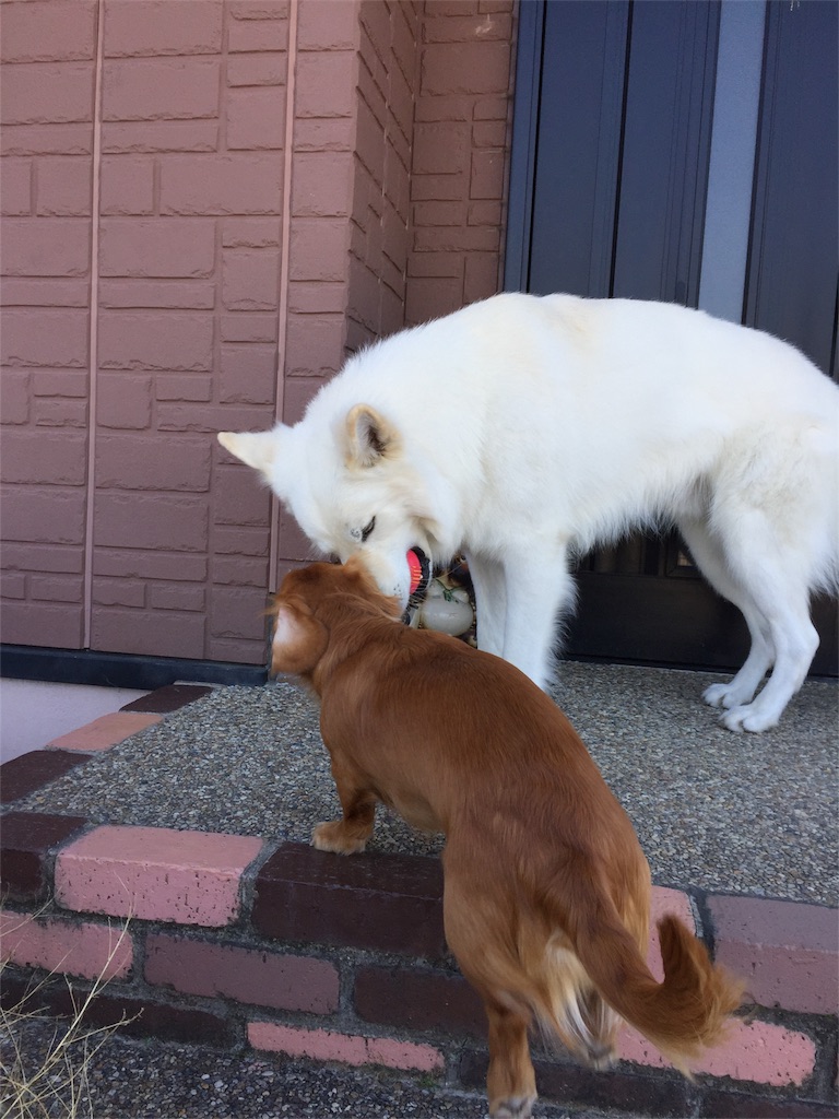 f:id:Lien0927:20180312222451j:image f:id:Lien0927:20180312222451j:image