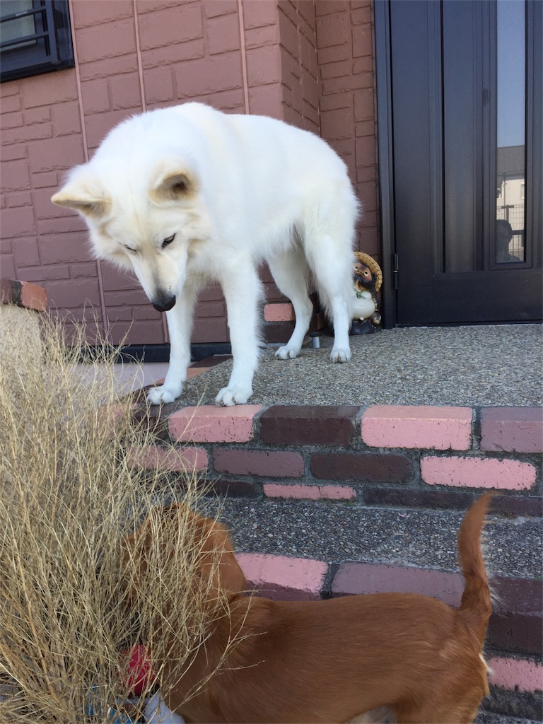 f:id:Lien0927:20180312222645j:image f:id:Lien0927:20180312222645j:image