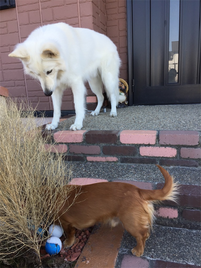 f:id:Lien0927:20180312222654j:image f:id:Lien0927:20180312222654j:image