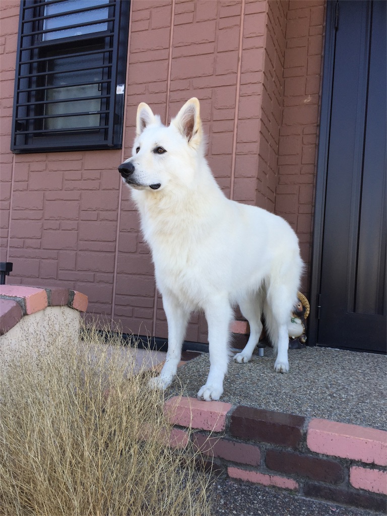 f:id:Lien0927:20180312222707j:image f:id:Lien0927:20180312222707j:image