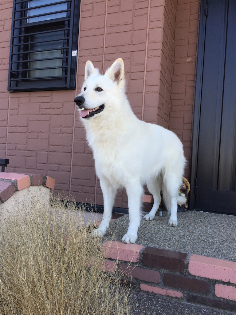 f:id:Lien0927:20180312222713j:image f:id:Lien0927:20180312222713j:image