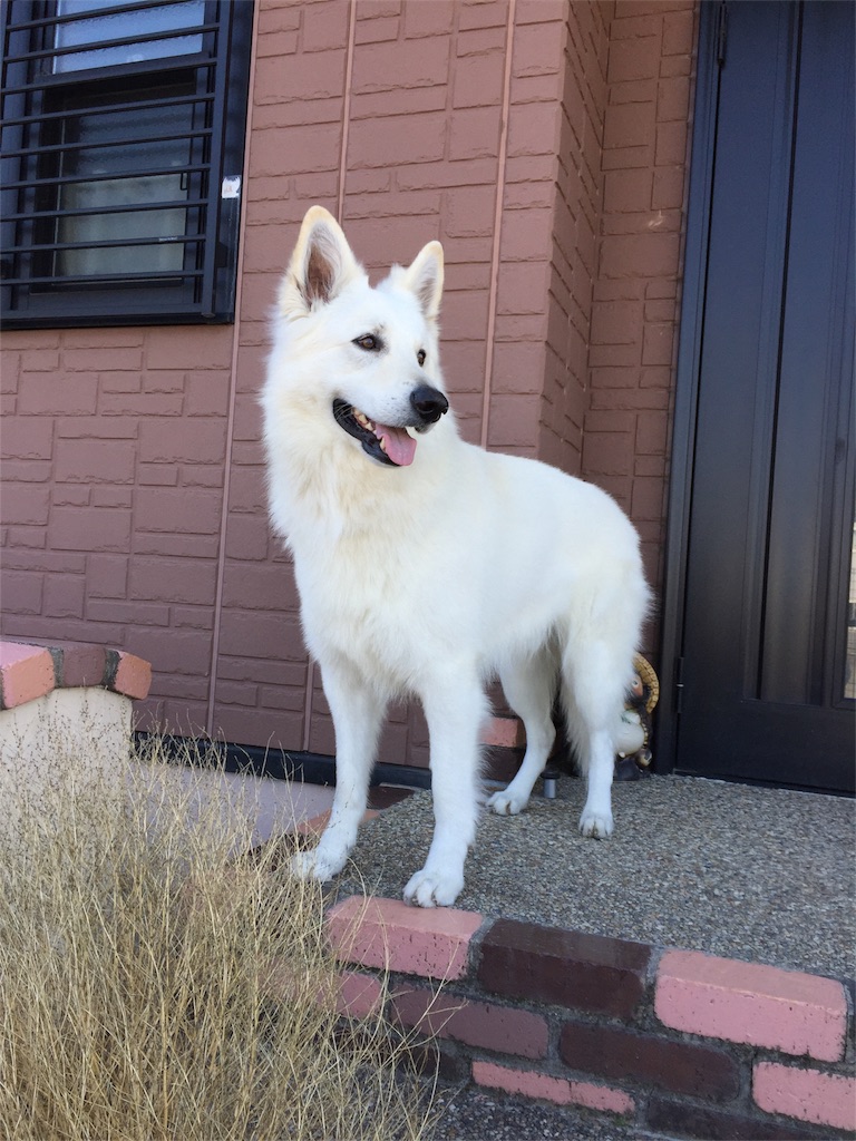 f:id:Lien0927:20180312222719j:image f:id:Lien0927:20180312222719j:image