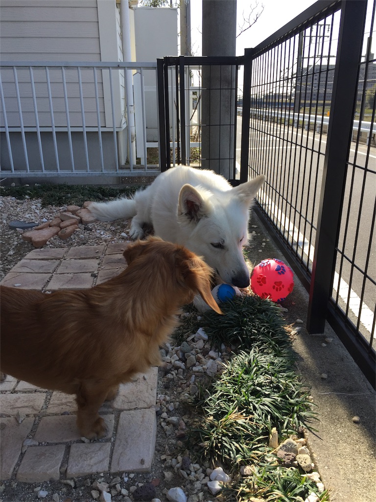 f:id:Lien0927:20180312223156j:image f:id:Lien0927:20180312223156j:image