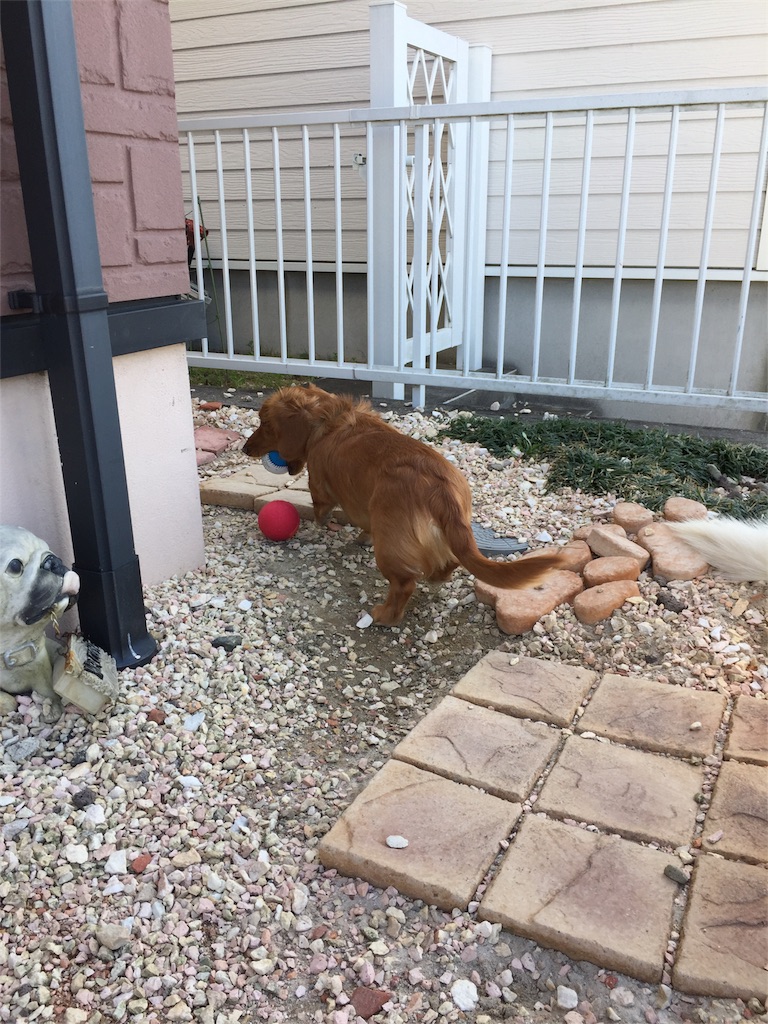 f:id:Lien0927:20180312223206j:image f:id:Lien0927:20180312223206j:image