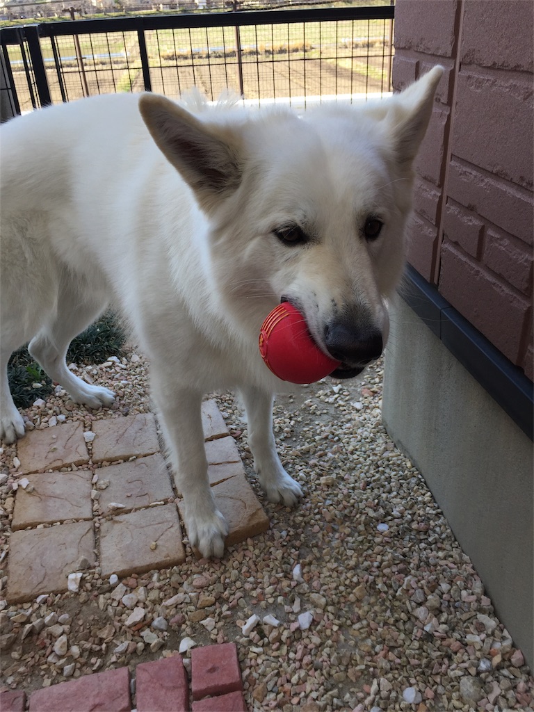 f:id:Lien0927:20180312223214j:image f:id:Lien0927:20180312223214j:image