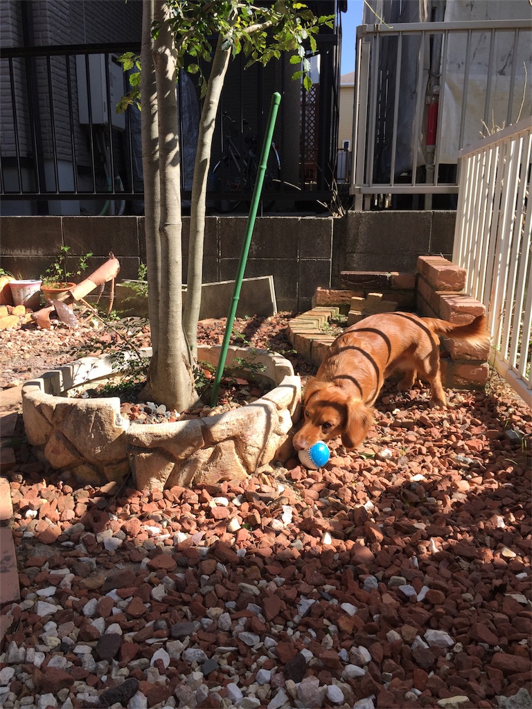 f:id:Lien0927:20180312223726j:image f:id:Lien0927:20180312223726j:image