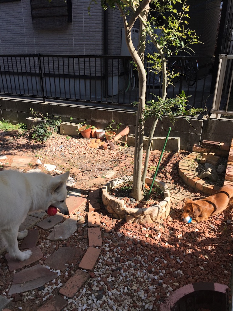 f:id:Lien0927:20180312223744j:image f:id:Lien0927:20180312223744j:image