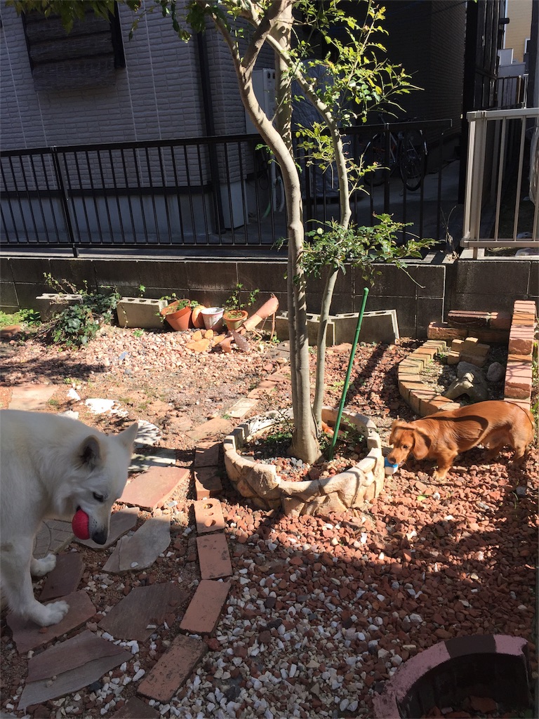 f:id:Lien0927:20180312223752j:image f:id:Lien0927:20180312223752j:image