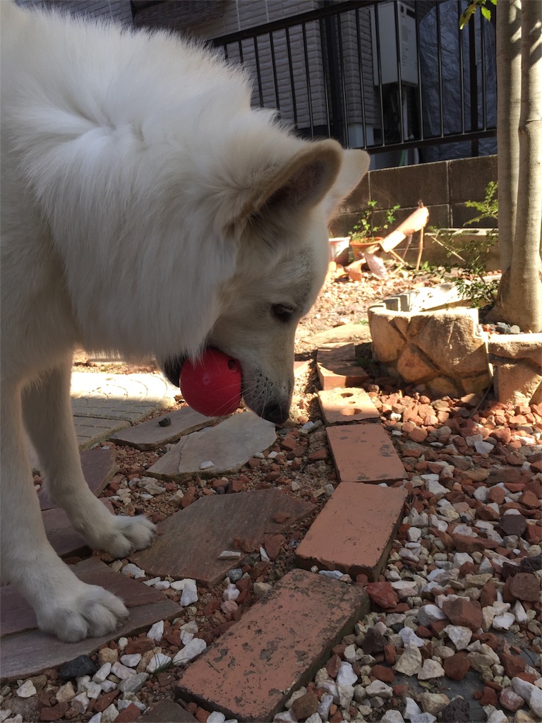 f:id:Lien0927:20180312223813j:image f:id:Lien0927:20180312223813j:image