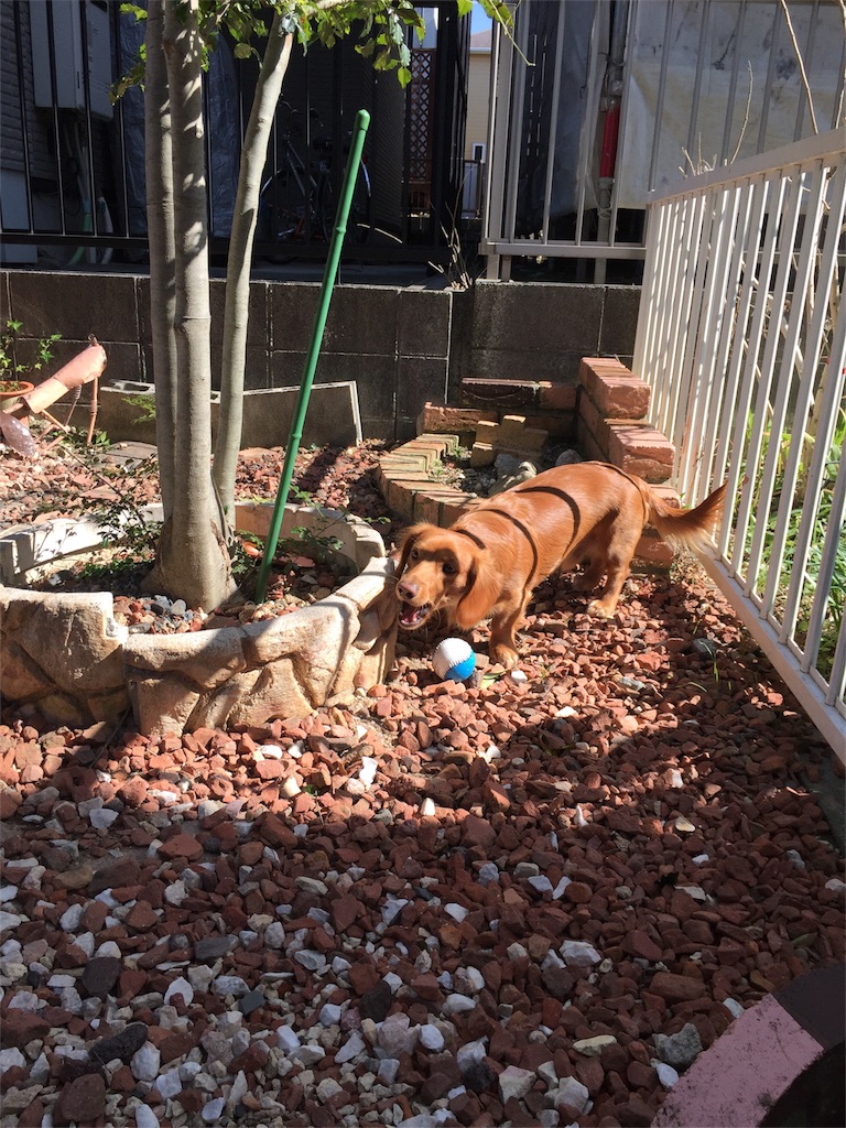 f:id:Lien0927:20180312223826j:image f:id:Lien0927:20180312223826j:image