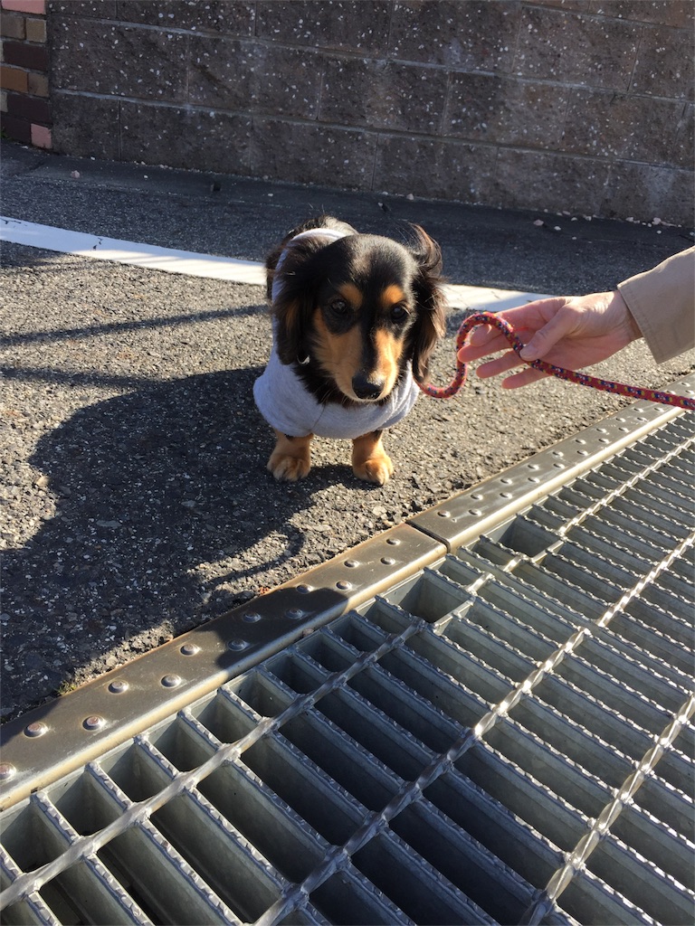 f:id:Lien0927:20180312224043j:image f:id:Lien0927:20180312224043j:image