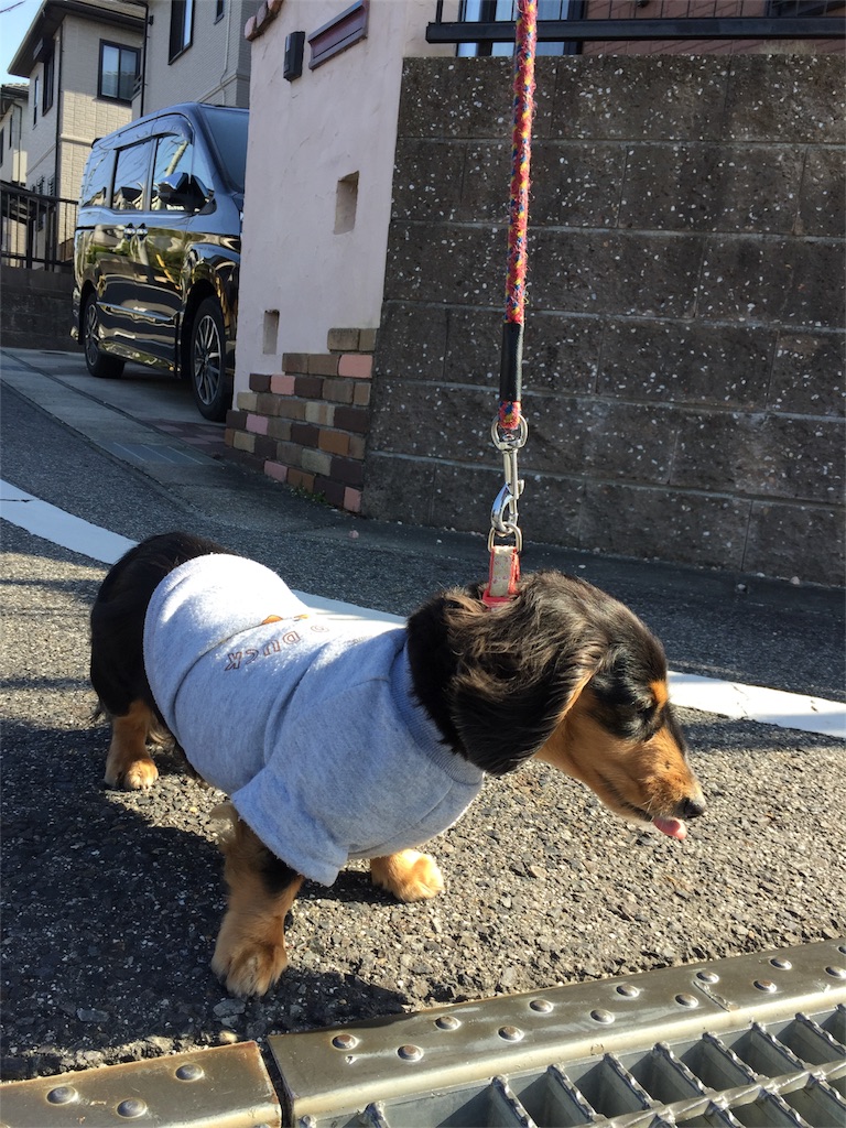 f:id:Lien0927:20180312224059j:image f:id:Lien0927:20180312224059j:image