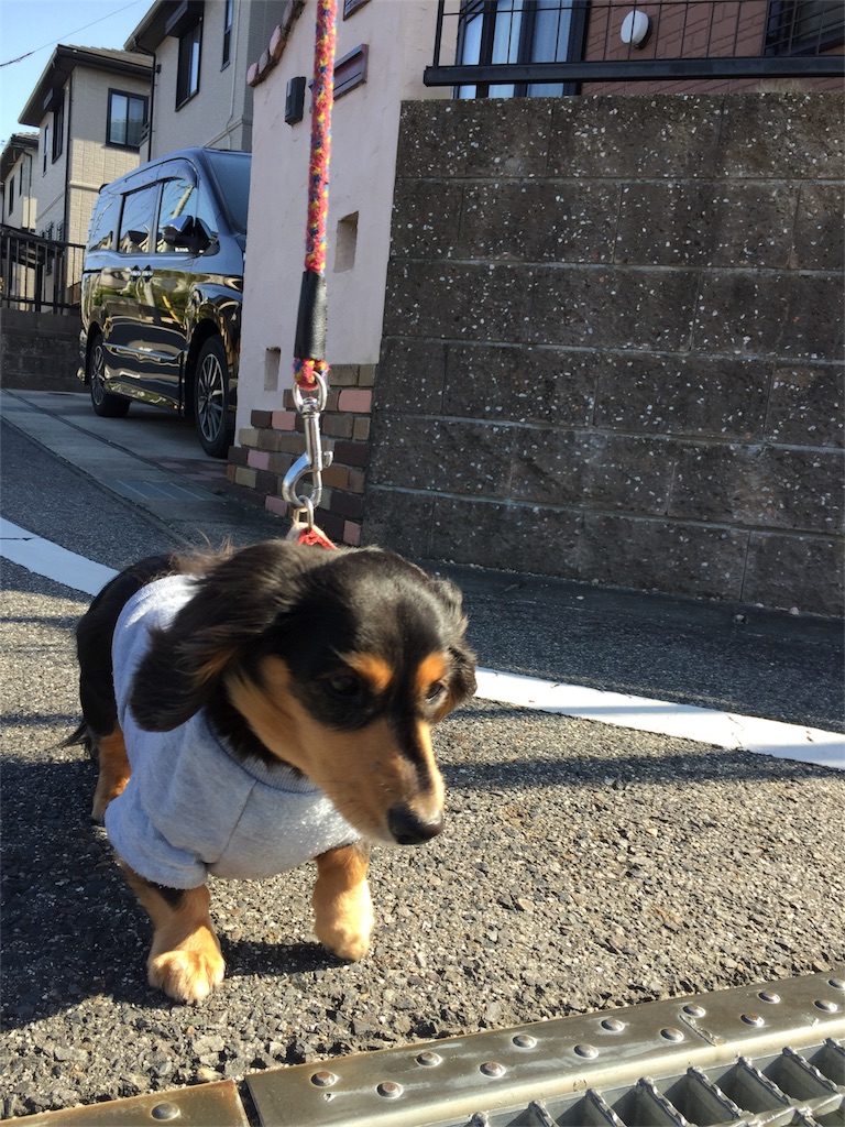 f:id:Lien0927:20180312224106j:image f:id:Lien0927:20180312224106j:image