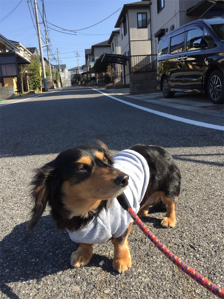 f:id:Lien0927:20180312224146j:image f:id:Lien0927:20180312224146j:image