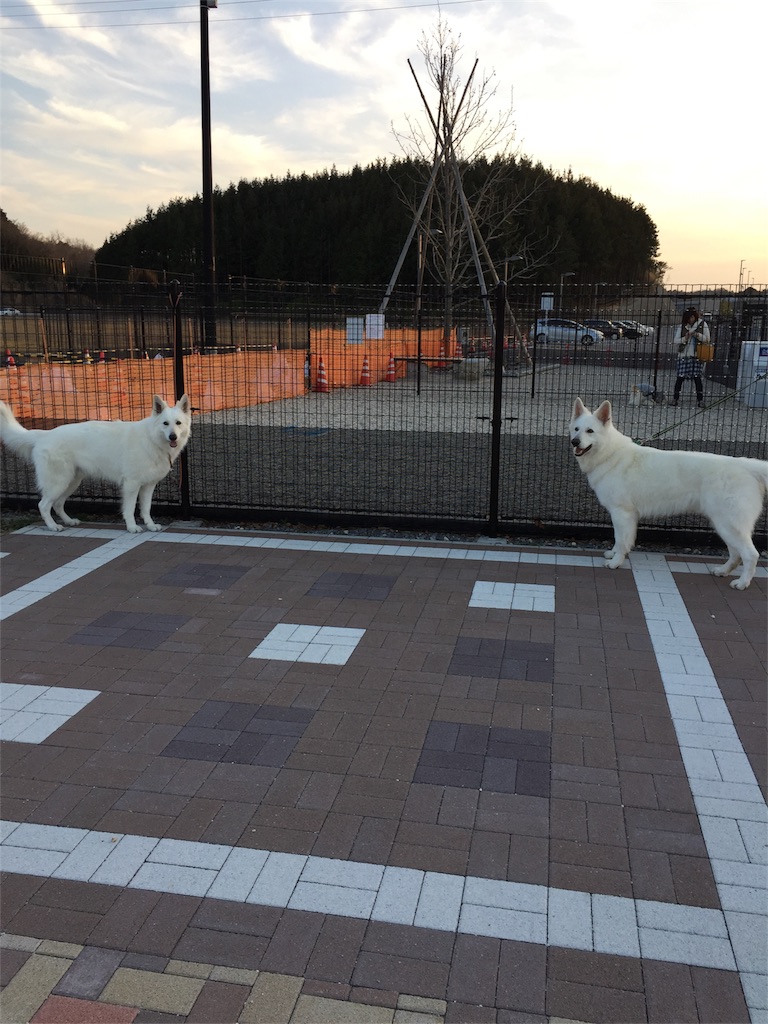 f:id:Lien0927:20180312225758j:image f:id:Lien0927:20180312225758j:image