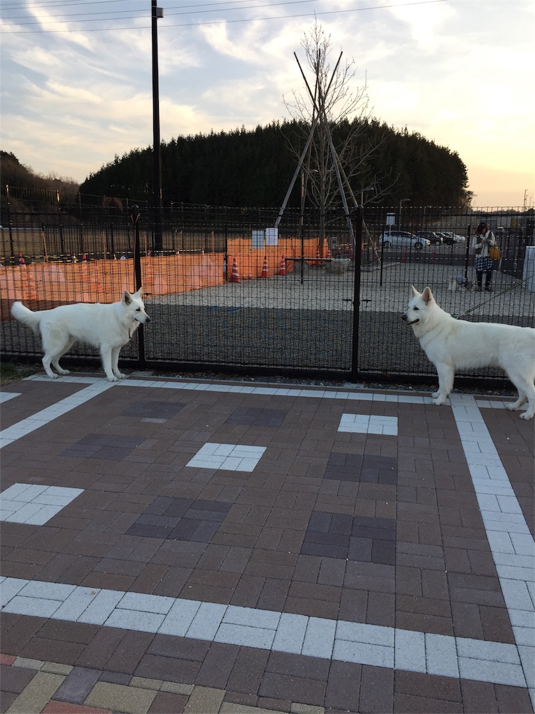 f:id:Lien0927:20180312225848j:image f:id:Lien0927:20180312225848j:image