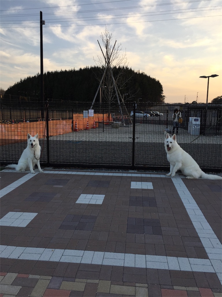 f:id:Lien0927:20180312225949j:image f:id:Lien0927:20180312225949j:image