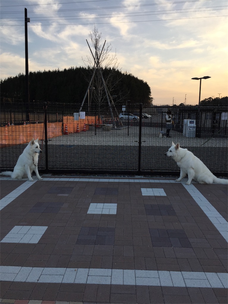 f:id:Lien0927:20180312230040j:image f:id:Lien0927:20180312230040j:image