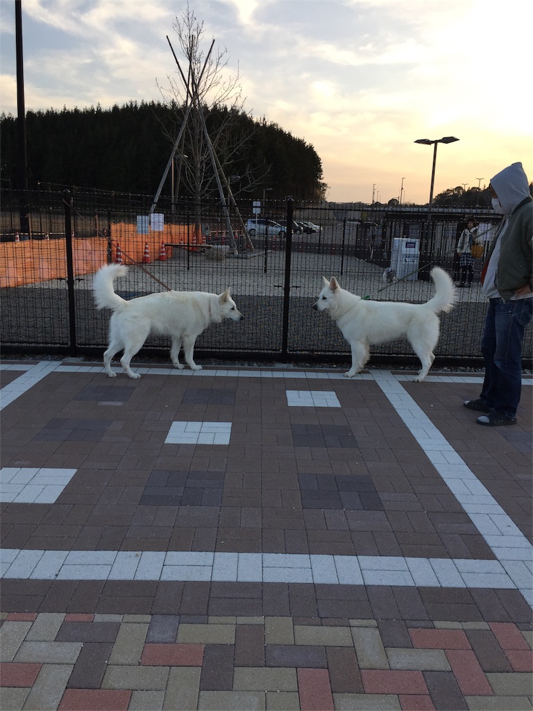 f:id:Lien0927:20180312230143j:image f:id:Lien0927:20180312230143j:image