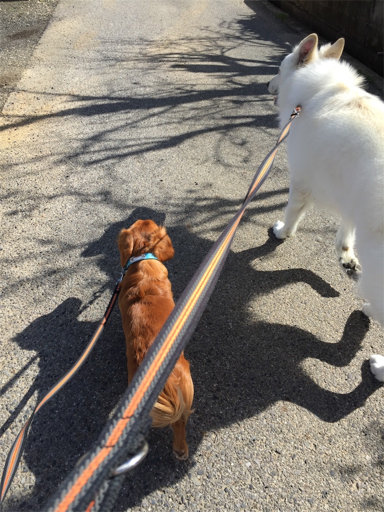 f:id:Lien0927:20180322182213j:image f:id:Lien0927:20180322182213j:image